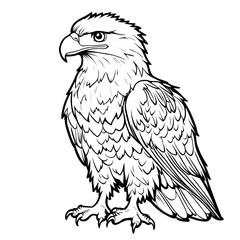 Obraz premium Cute Eagle Cartoon Outline for Coloring Book Page