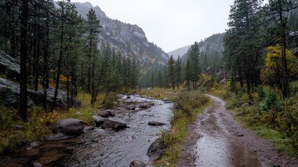 Obraz premium Rainy mountain creekside trail, autumn foliage, scenic background, travel photography
