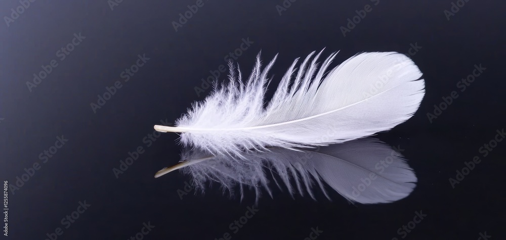 Poster a single white feather resting on a reflective black surface, creating a striking minimalist composi
