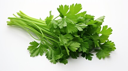 Fresh Celery and Parsley Leaves on White Background