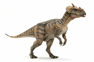 Pachycephalosaurus: A striking Pachycephalosaurus dinosaur with its distinctive dome-shaped skull and horns stands proudly in a detailed 3D model, showcasing its powerful prehistoric presence. 