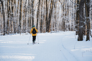 An individual is engaging in the exhilarating activity of cross country skiing while navigating...
