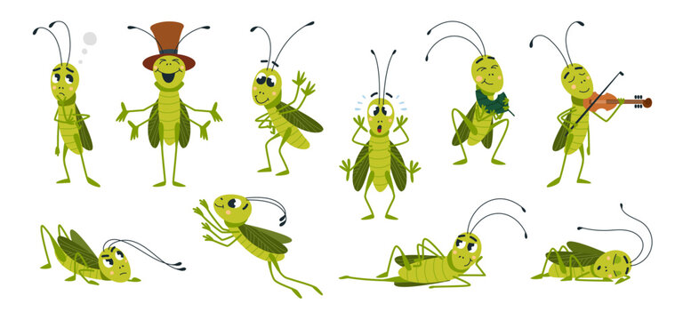 Cartoon grasshopper. Isolated grasshoppers in different poses and emotions. Funny green insects, wild characters eating, jumping, sleeping, classy mascots vector set
