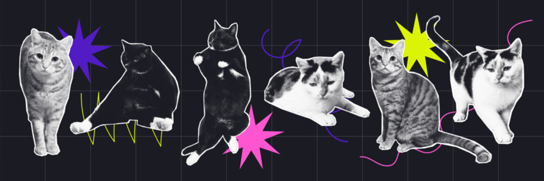 set of halftone Retro Pop Art Cats on a Bold Neon Abstract Background