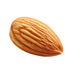 almond on white background.