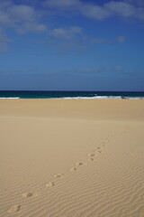 Fuerteventura