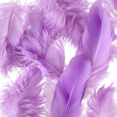 Obraz premium A collection of soft, vibrant purple feathers, isolated against a pure white background. Each feather has delicate, fine details with a smooth texture and natural curvature. 