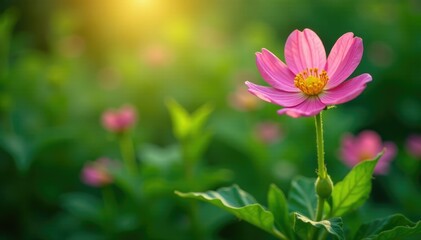 Obraz premium Wandflower in full bloom amidst lush green foliage and stems, blooming, nature, flowers