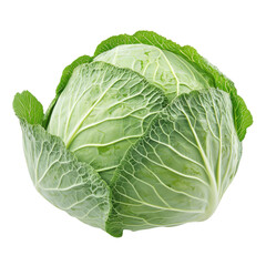 Obraz premium cabbage isolated on white background