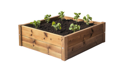 Raised garden bed filled with soil and young plants