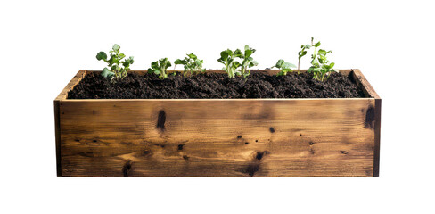 Small plants sprouting inside a wooden rectangular garden planter