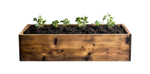 Small plants sprouting inside a wooden rectangular garden planter
