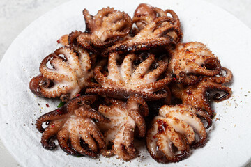 Baby octopus grilled on a white plate, homemade, no people,