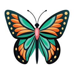 butterfly on white background