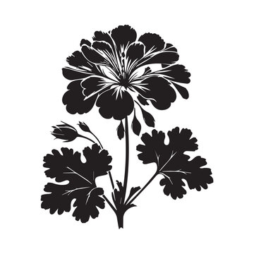 black geranium flower silhouette on white clip art preview