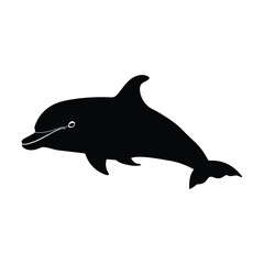 Dolphin Illustration Vector With White Background.