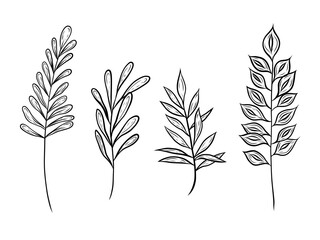 Vector set of twigs with leaves. Hand drawn vector graphics. Illustrations of twigs, botanical drawings. Doodle style, line art. Design and packaging