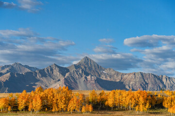 autumn landscape in the mountains