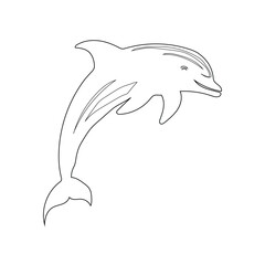 Dolphin Line Art Illustration Vector With White Background.