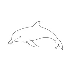 Dolphin Line Art Illustration Vector With White Background.