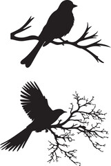 crow on a branch