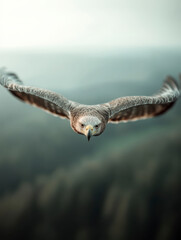 Obraz premium A breathtaking shot of a majestic eagle flying through the sky, showcasing its strength and beauty against a backdrop of serene nature and soft colors.