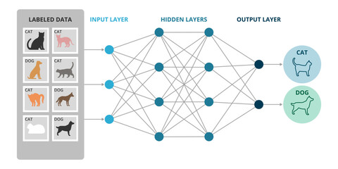 Deep learning and neural networks