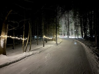 Outdoor skating trail at night