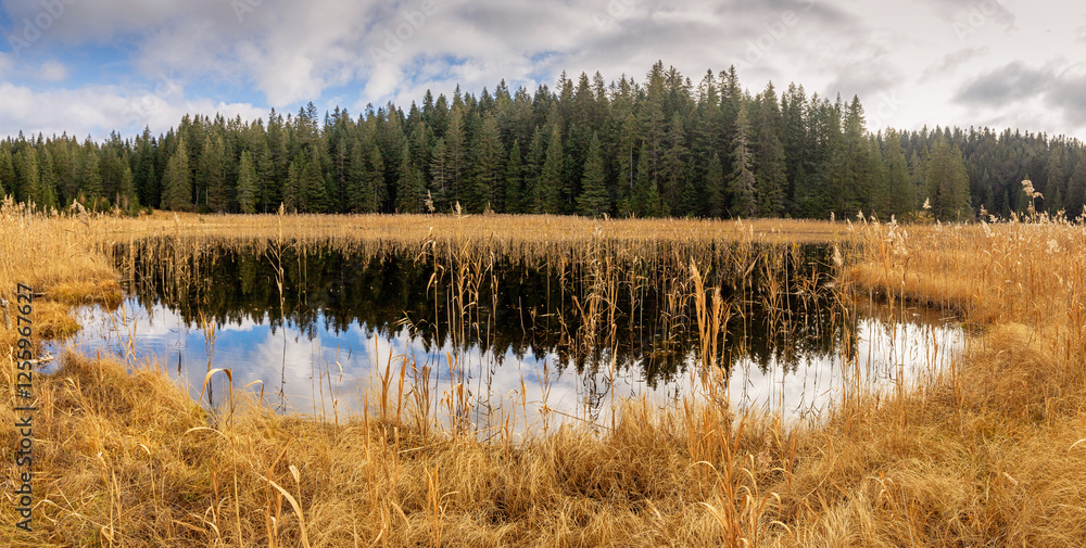 Wall mural Panoramic view of a mountain lake reflecting clouds and forest on a cloudy day