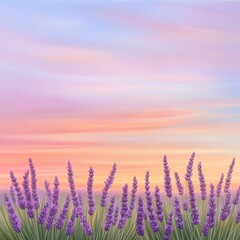 Fototapeta premium Lavender Field Under Colorful Sky at Sunset with Soft Clouds