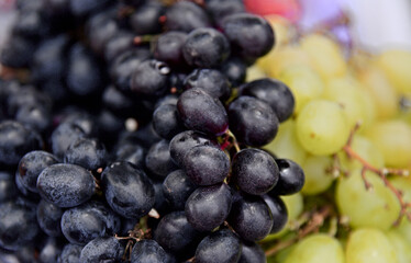 Black grapes and yellow grapes. Background of red wine grapes, dark grapes, light grapes. Black raisins. Seedless grapes