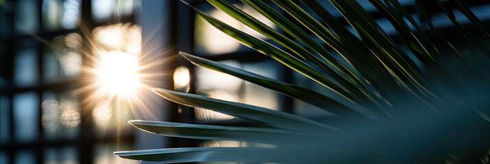 Palm Fronds and Sunlight Through Window