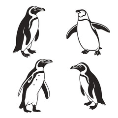 Black and White Penguin Illustrations