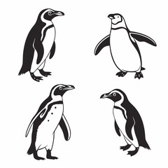 Obraz premium penguin vector illustration