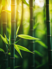 Obraz premium Close-up of bamboo forest, centered composition, natural artistic conception