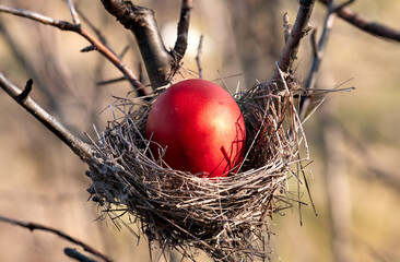 Homemade red Easter egg in the bird nest