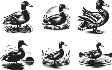 Set of mallard water vector art black silhouette with white background