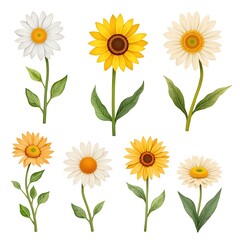 set of yellow flowers