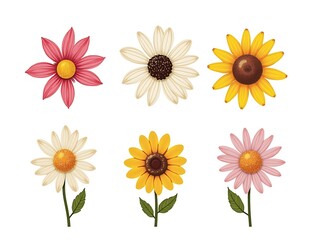 set of flowers isolated on white