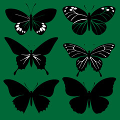 collection of butterflies