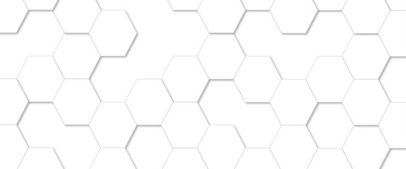 Abstract white hexagonal geometric background with shadow. Luxury White 3D futuristic honeycomb mosaic white background. Abstract white lines background. 