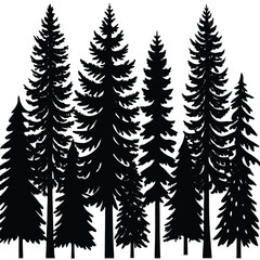 Obraz premium silhouettes of trees