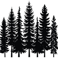 Obraz premium silhouettes of trees