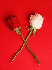 two crossed roses End of the war in England