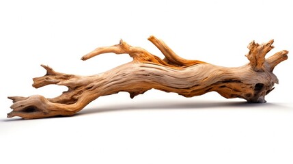 Fototapeta premium Isolated Driftwood on White Background. Aged Driftwood Branch from the Sea with Natural Wood Texture