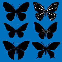 set of butterflies isolated on white