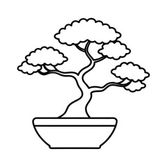 bonsai tree