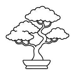 bonsai tree