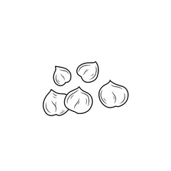 chickpea line sketch