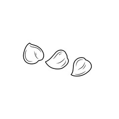 chickpea line sketch